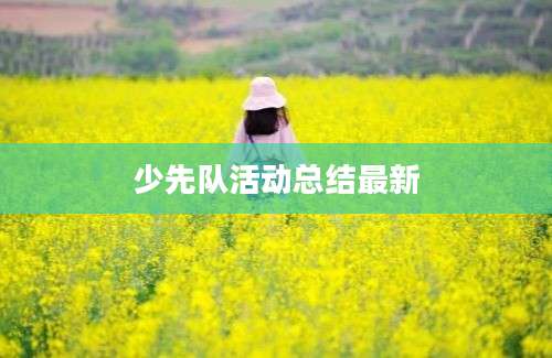 少先队活动总结最新