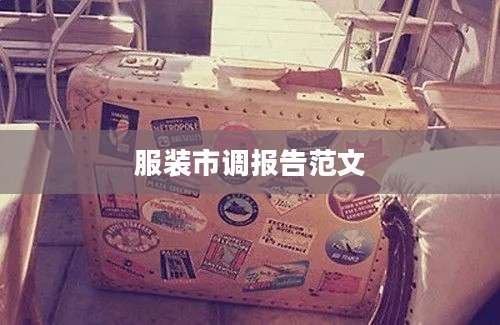 服装市调报告范文