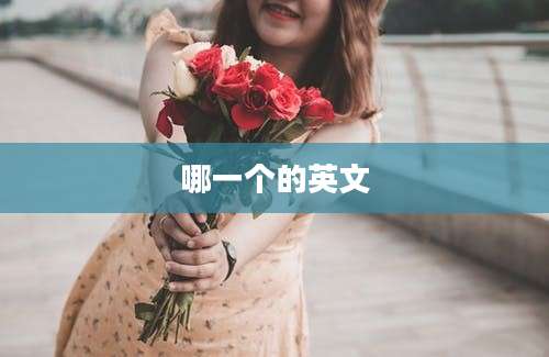 哪一个的英文