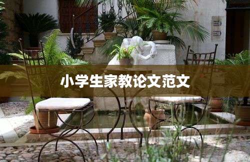 小学生家教论文范文