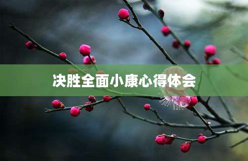 决胜全面小康心得体会