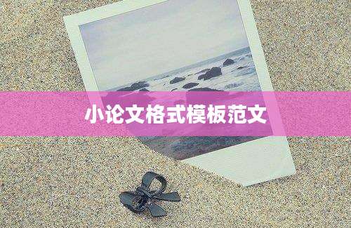 小论文格式模板范文