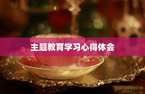 主题教育学习心得体会