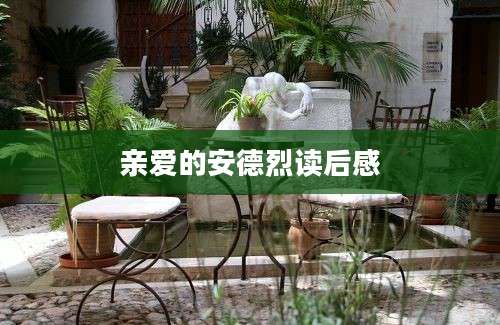 亲爱的安德烈读后感