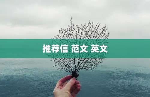 推荐信 范文 英文