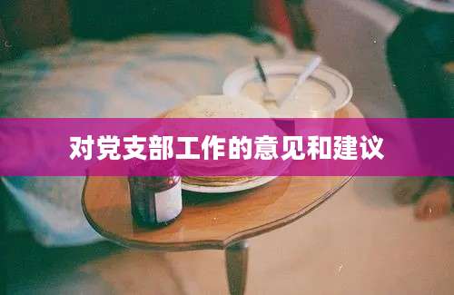 对党支部工作的意见和建议