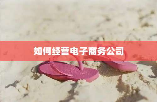 如何经营电子商务公司