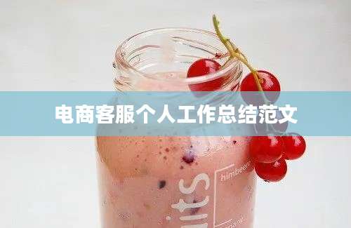 电商客服个人工作总结范文