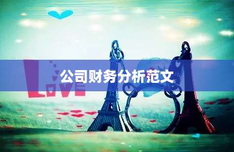 公司财务分析范文