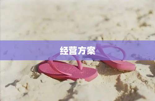 经营方案