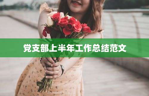 党支部上半年工作总结范文