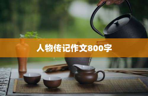 人物传记作文800字