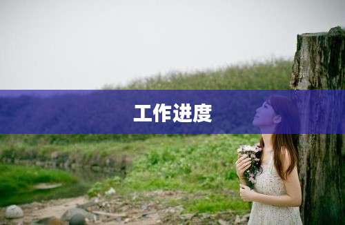 工作进度