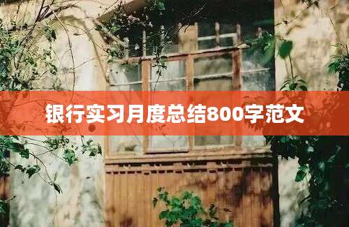 银行实习月度总结800字范文