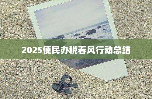 2025便民办税春风行动总结
