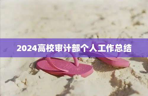 2024高校审计部个人工作总结