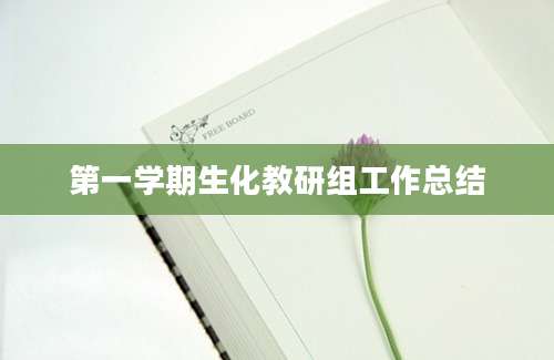 第一学期生化教研组工作总结