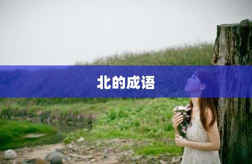 北的成语