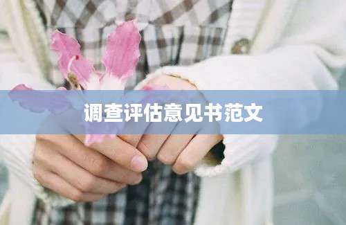 调查评估意见书范文