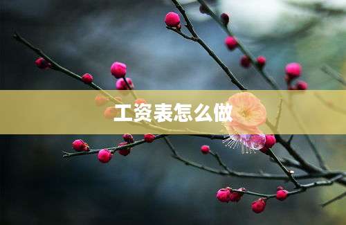 工资表怎么做