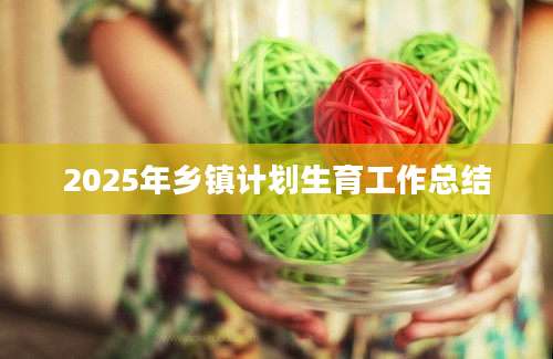 2025年乡镇计划生育工作总结