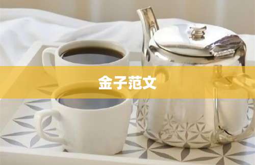 金子范文