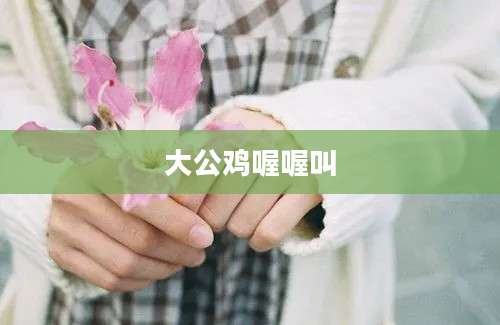 大公鸡喔喔叫