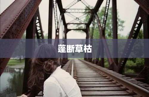 蓬断草枯