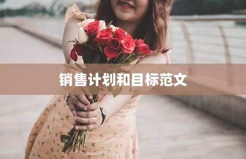 销售计划和目标范文