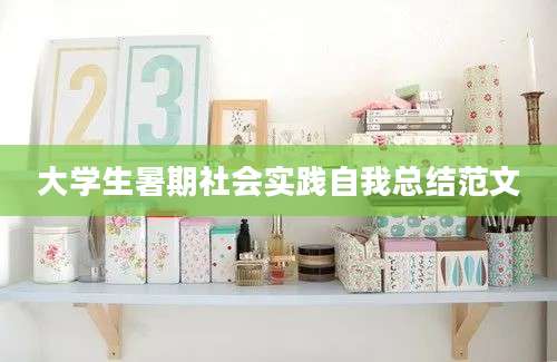 大学生暑期社会实践自我总结范文