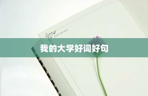 我的大学好词好句