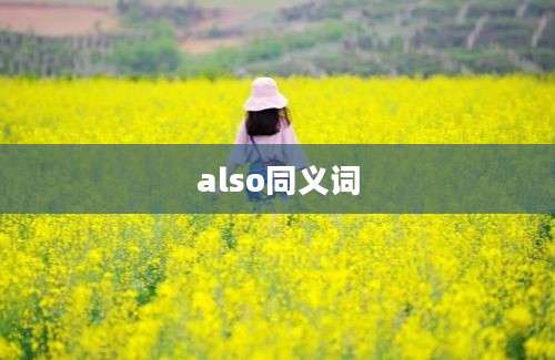 also同义词