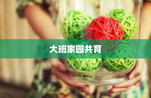 大班家园共育