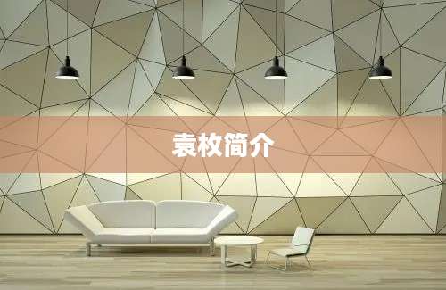 袁枚简介