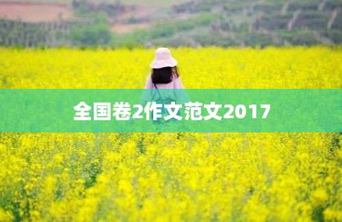 全国卷2作文范文2017