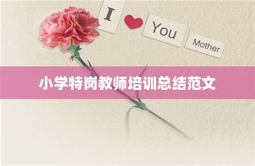 小学特岗教师培训总结范文