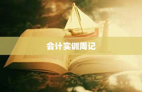 会计实训周记
