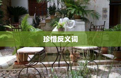 珍惜反义词