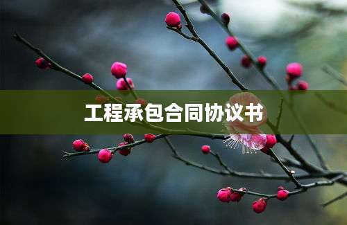 工程承包合同协议书