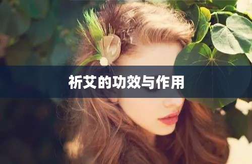 祈艾的功效与作用