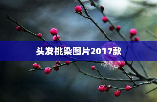 头发挑染图片2017款