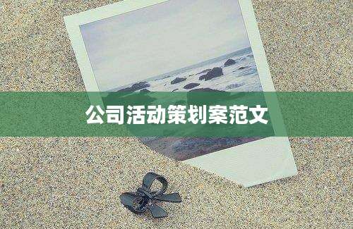 公司活动策划案范文