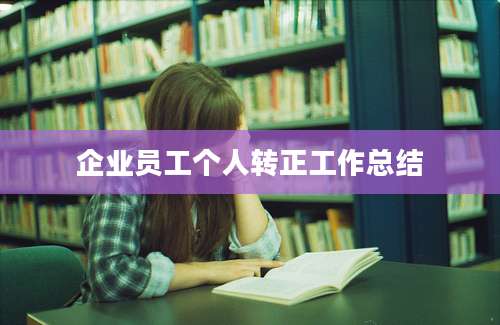 企业员工个人转正工作总结