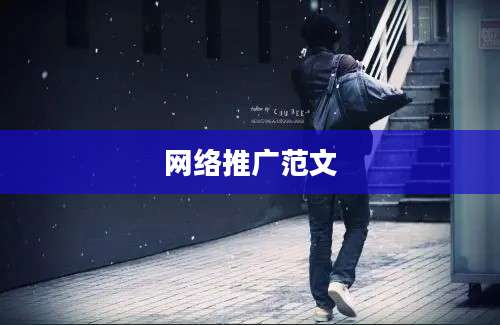 网络推广范文