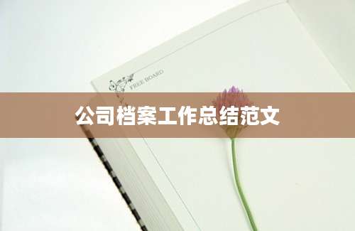 公司档案工作总结范文