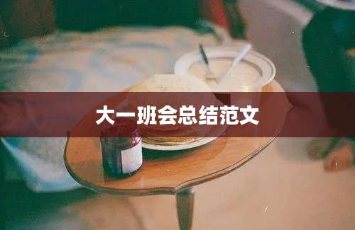 大一班会总结范文