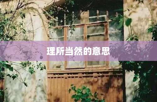 理所当然的意思