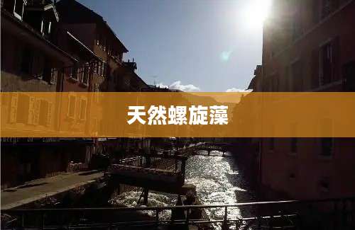天然螺旋藻