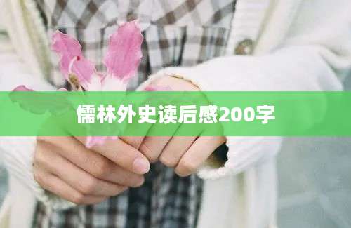 儒林外史读后感200字