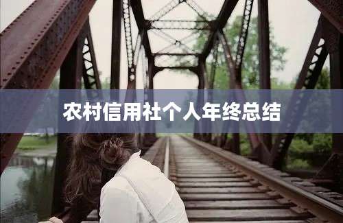 农村信用社个人年终总结